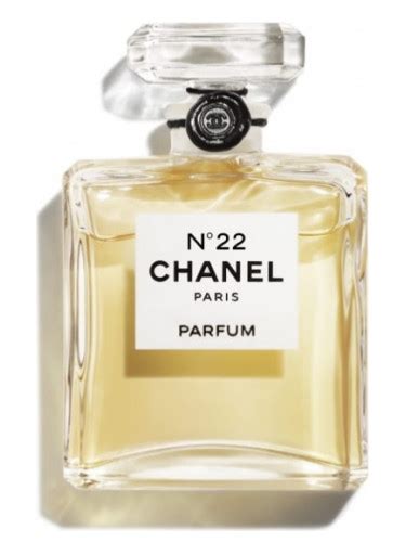 chanel no 22 parfum|where can i buy chanel 22 perfume.